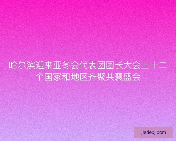 哈尔滨迎来亚冬会代表团团长大会三十二个国家和地区齐聚共襄盛会