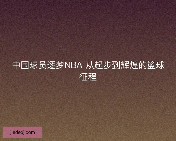 中国球员逐梦NBA 从起步到辉煌的篮球征程