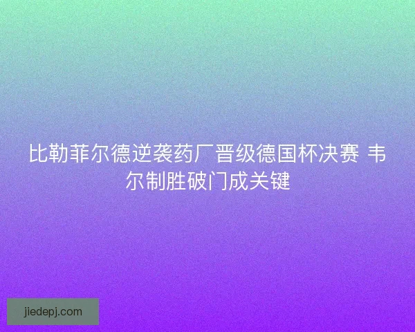 比勒菲尔德逆袭药厂晋级德国杯决赛 韦尔制胜破门成关键 比勒菲尔德逆袭药厂晋级德国杯决赛 韦尔制胜破门成关键