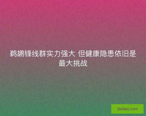 鹈鹕锋线群实力强大 但健康隐患依旧是最大挑战